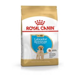 Royal Canin LabradorJunior 12 KG