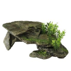 Ornament steen met planten