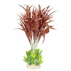 Aquarium plant lava fern XL