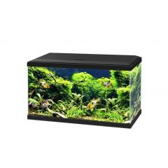 Aquarium aqua ciano 60 led zwart
