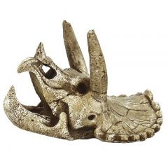 Ornament dino schedel triceratops medium
