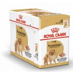 Royal Canin Wet Pomeranian